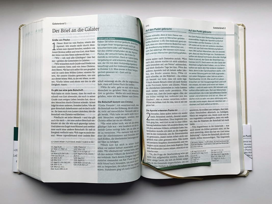 Die Bibel mit Impulsen von Joyce Meyer, Kunstlederausgabe: Lesen. Glauben. Leben. (Neues Leben. Die Bibel)