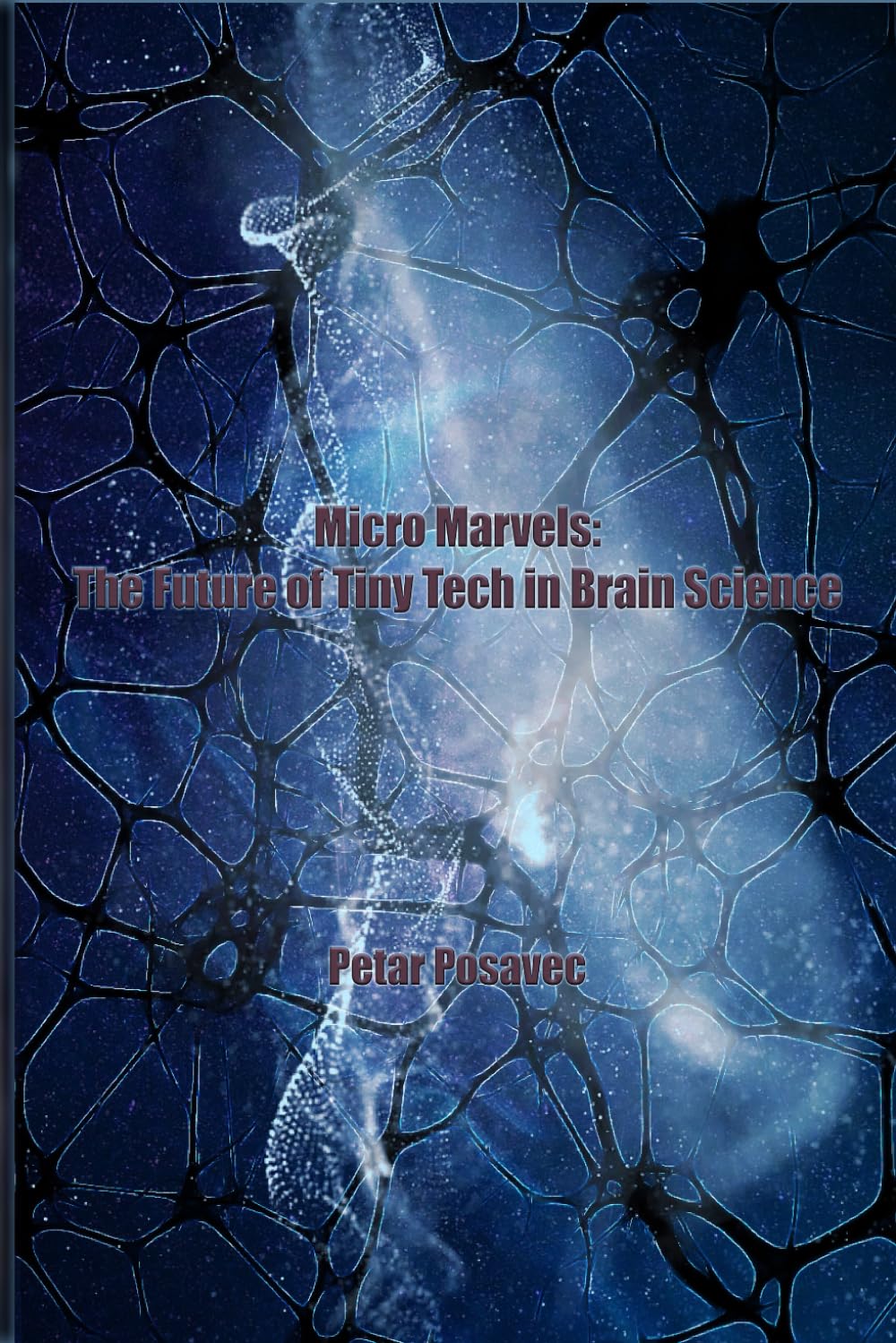 Micro Marvels The Future of Tiny Tech in Brain Science (Innovations in Neural Networks and Nanotechnology)
