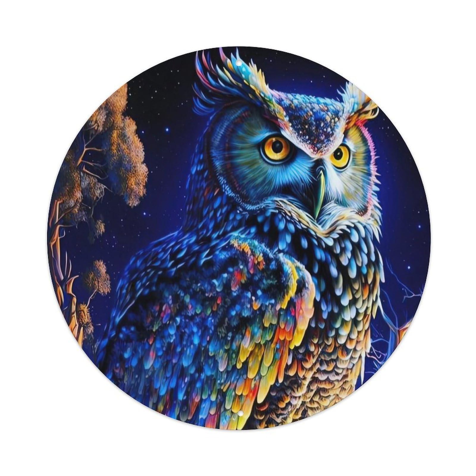 Animal Artwork The Magic Owl Metal Tin Sign