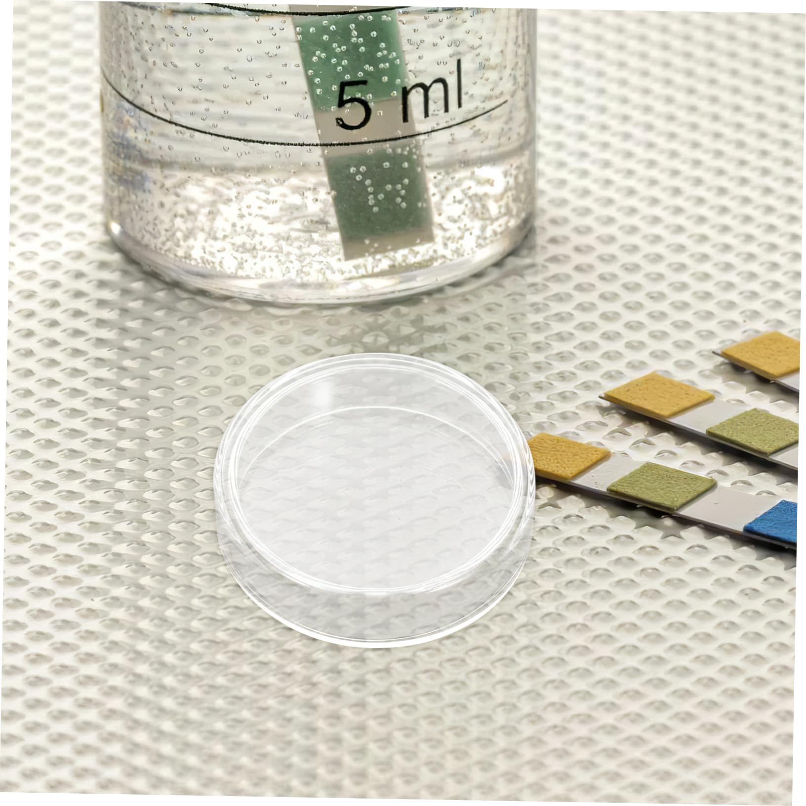 10 Stück 60 Mm Glas Petrischalen Für Zellkultur-wissenschaftsprojekte Mit Glatter Oberfläche Für Wachstum