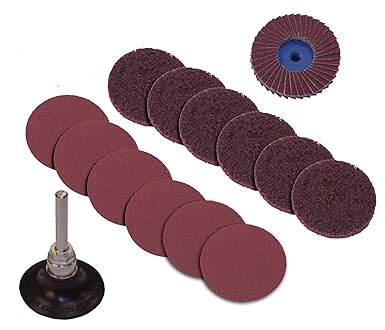 COMBIDISC Type CDR Sanitary Finish 