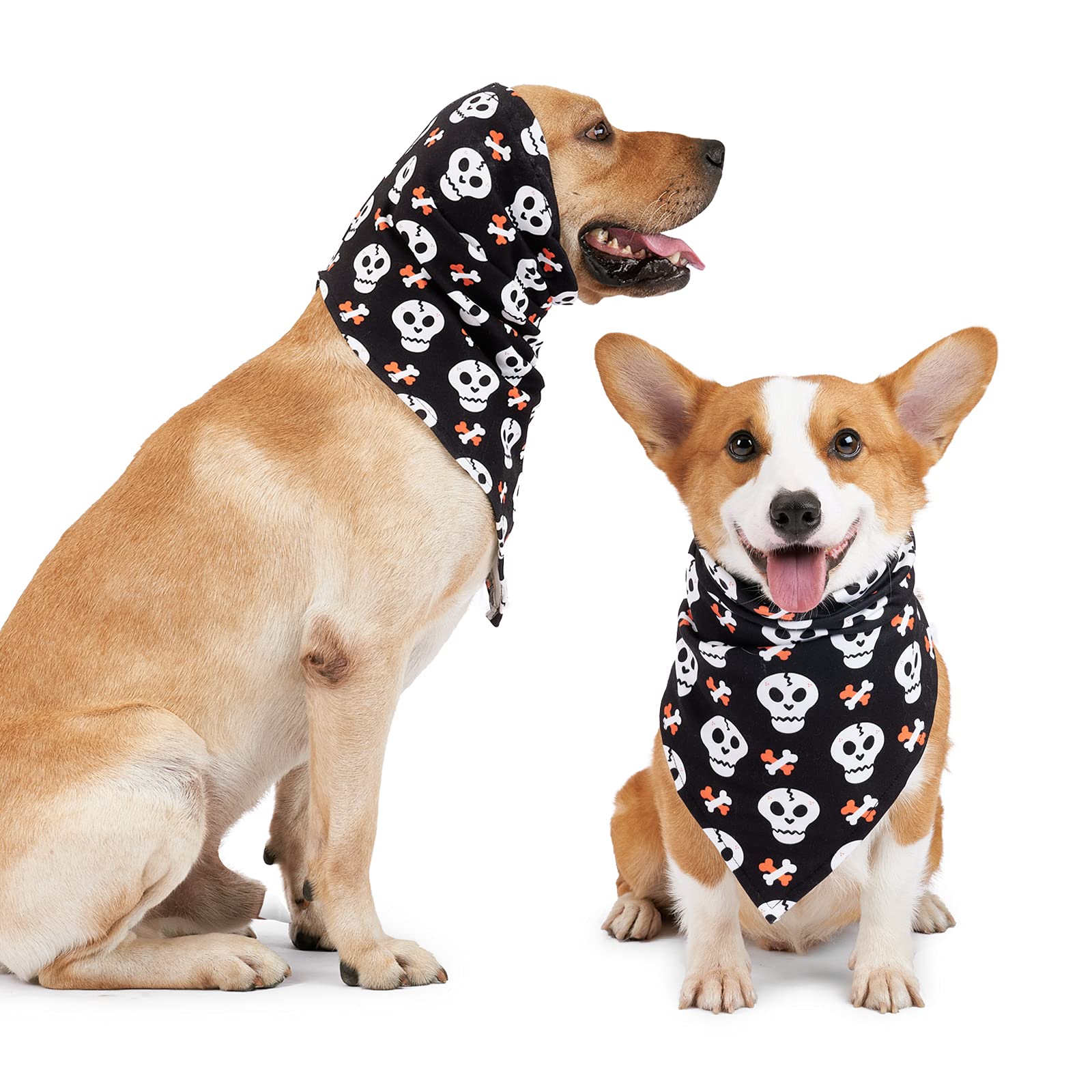 Why Do People Put Bandanas On Dogs