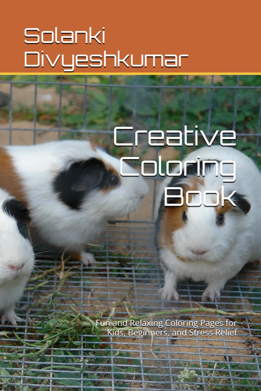 Creative Coloring Book: Fun and Relaxing Coloring Pages for Kids, Beginners, and Stress Relief
