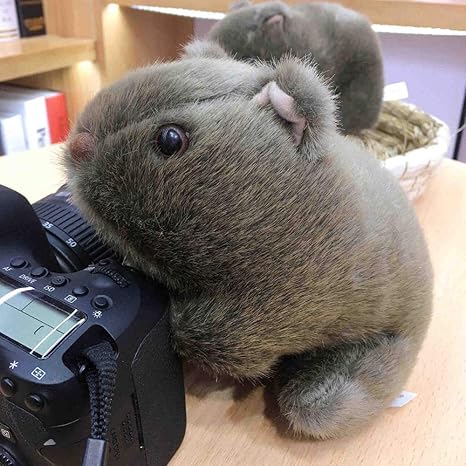 Amazon 18 28cmシミュレーションウォンバット野生動物モルモットcaviaporcellus赤ちゃん子供用マウス人形子供ギフト28cm 抱き枕 オンライン通販
