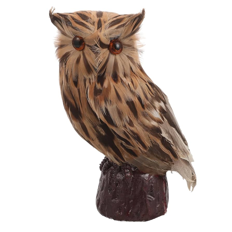 Amazon.co.jp: MOBUTOFU フクロウ シミュレーション 模型 鳥