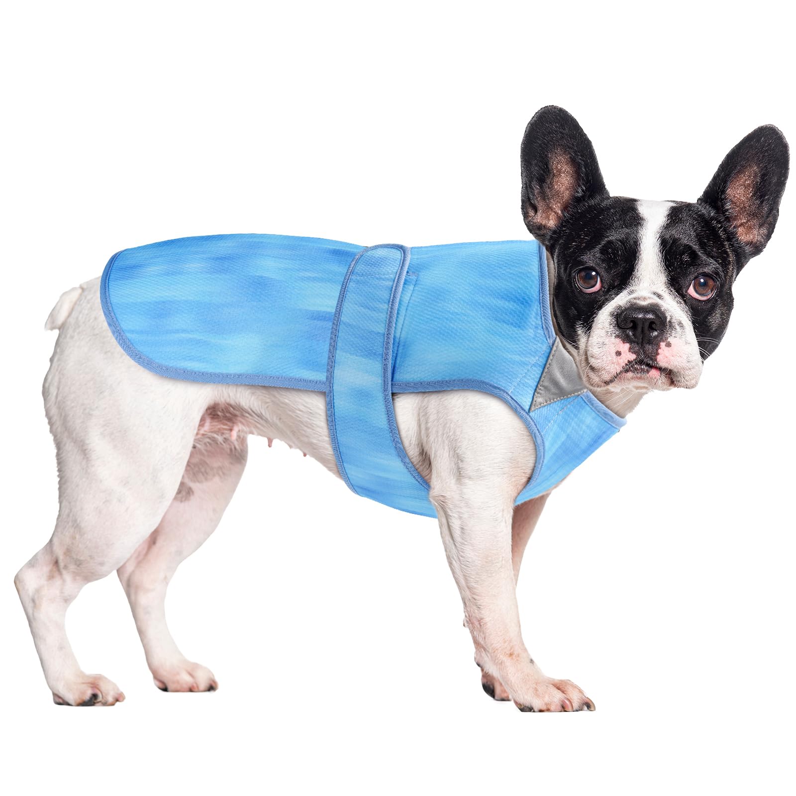 Tikibest Summer Dog Cooling Vest - Lightweight Dog Cooling Jacket, Breathable Shirt for Walking, Outdoor Hunting Training and Camping (L)