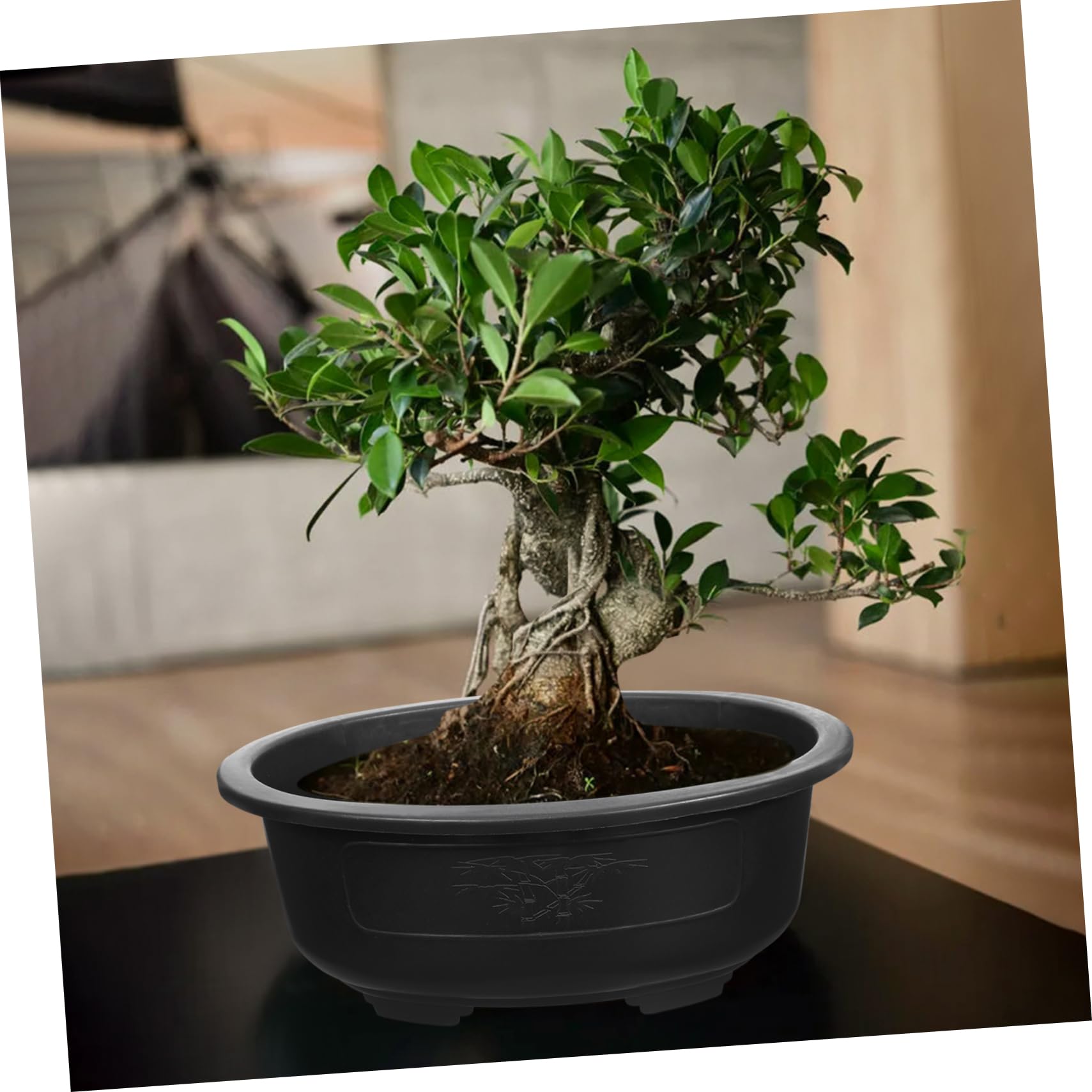 ウシ　　　　　　盆栽　鉢　57cm　板山　大型　特大 大型盆栽植木鉢195/65r15 | ヤマダウェブコム