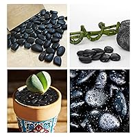 Vista 5 de Guijarros de piedra negra pulida a granel, 30 libras, de 1 pulgada a 2 pulgadas, para plantas, jardines, decoración, paisajismo, suculentas