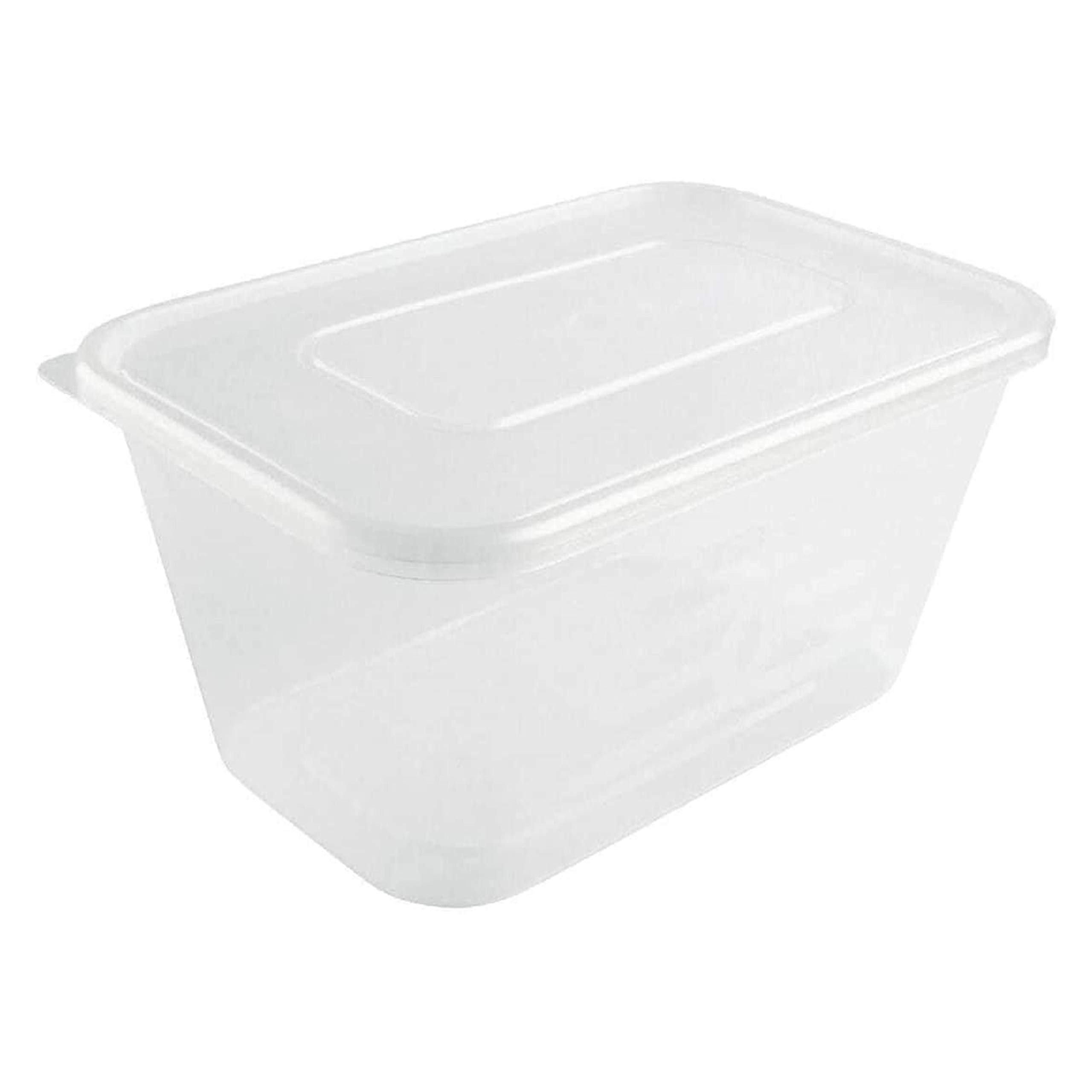 10 Pack Plastic Food Storage Containers - 750 ml Transparent Plastic Containers with Lids - Takeaway Containers - Leak Proof Freezer Storage Boxes (100, 1000 ml)