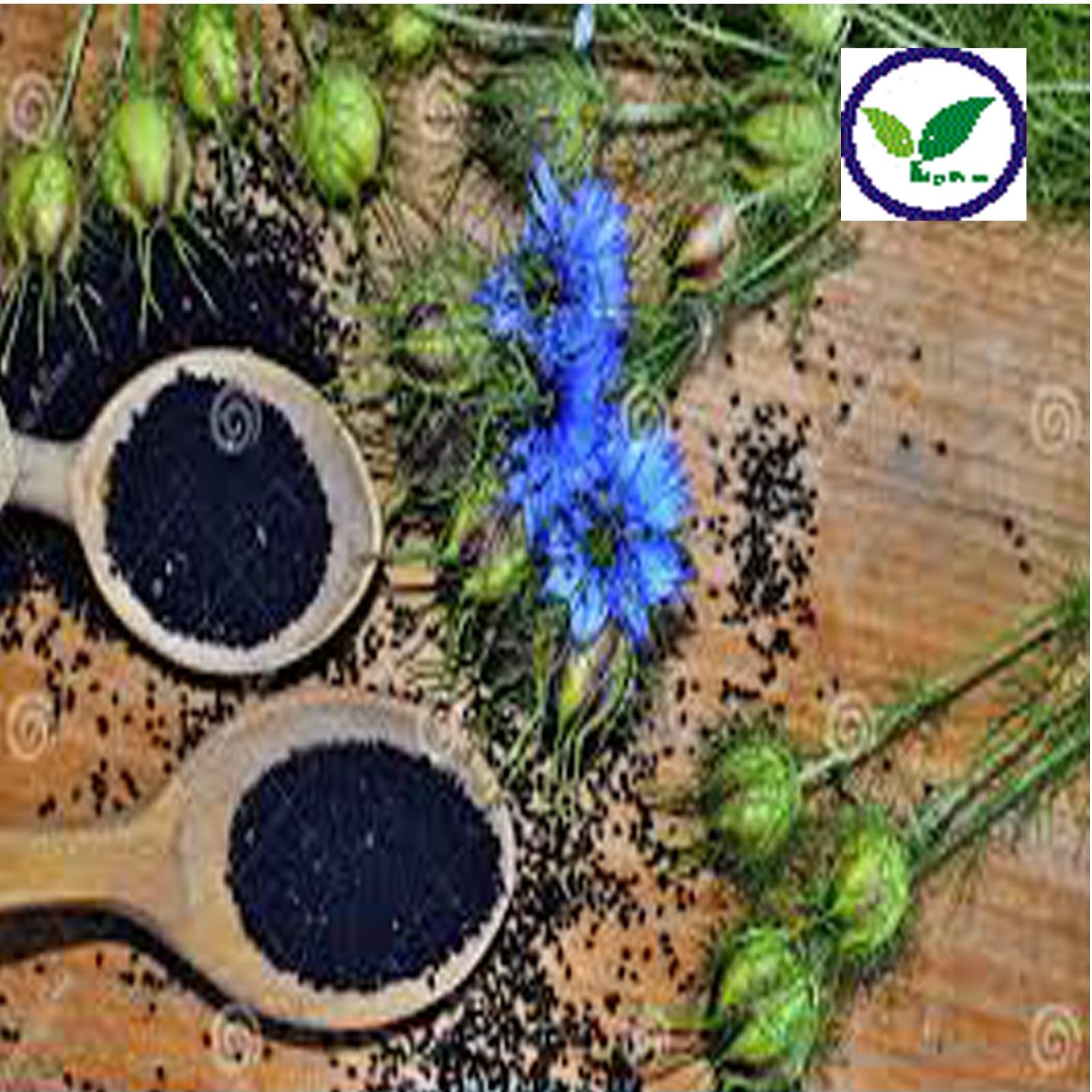 Kalonji Powder - Black Cumin Spice -6 Kalonji Powder - Black Cumin Spice -6
