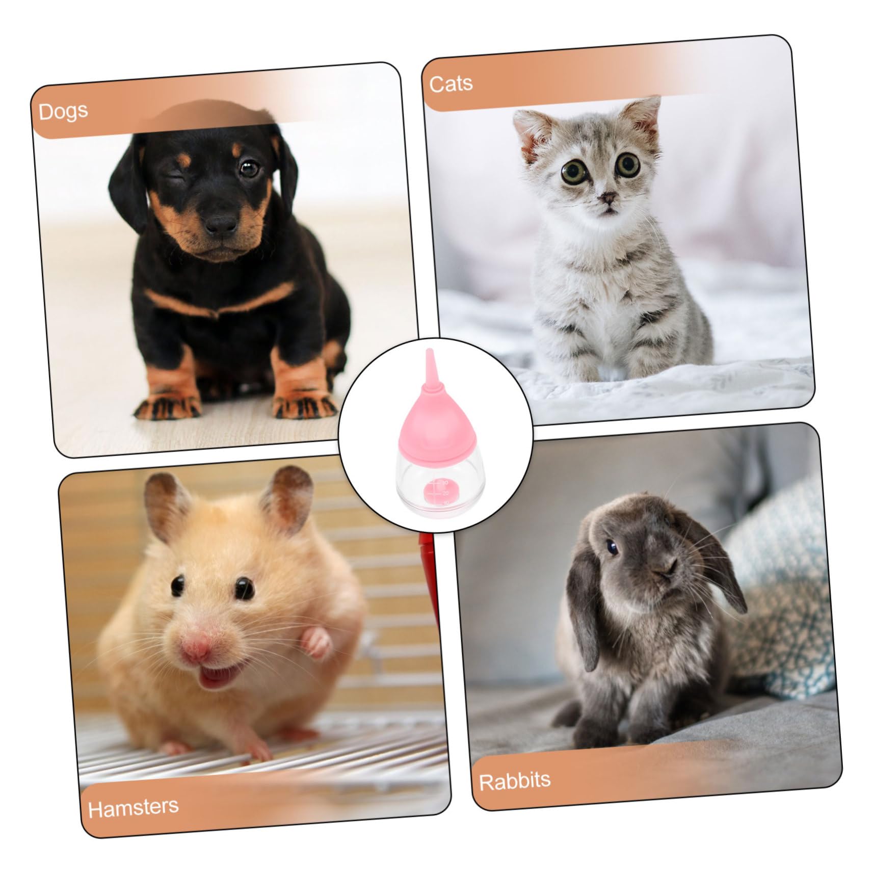 3 Biberon per Animali Domestici Biberon per Cuccioli E Gatti Biberon per Cuccioli Biberon per Gatti Biberon per Piccoli Animali Biberon Leggero