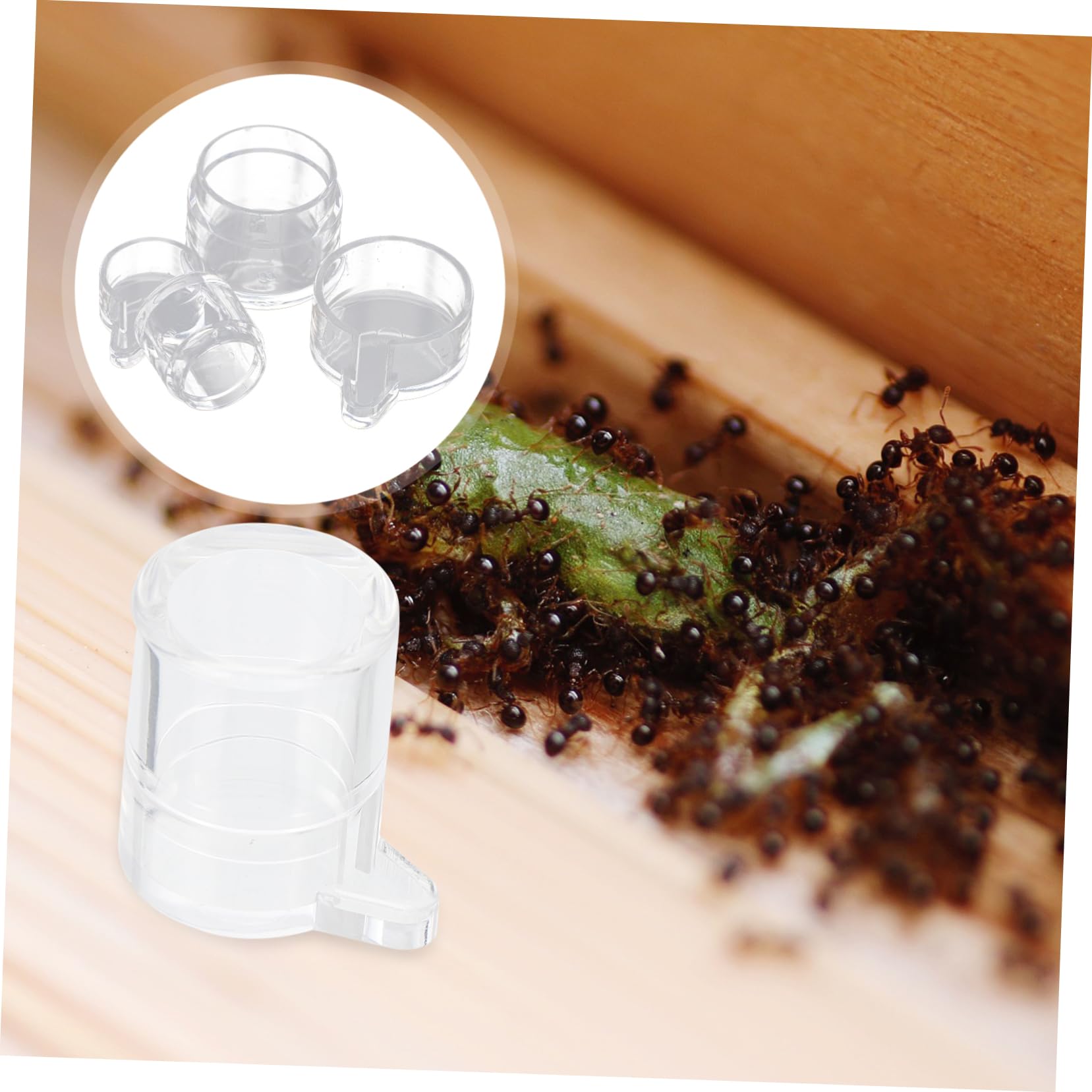 Kisangel 2 Pièces Alimentation pour Fourmis Acrylique Mangeoire et Récipient D Eau Transparent pour Observation des Fourmis