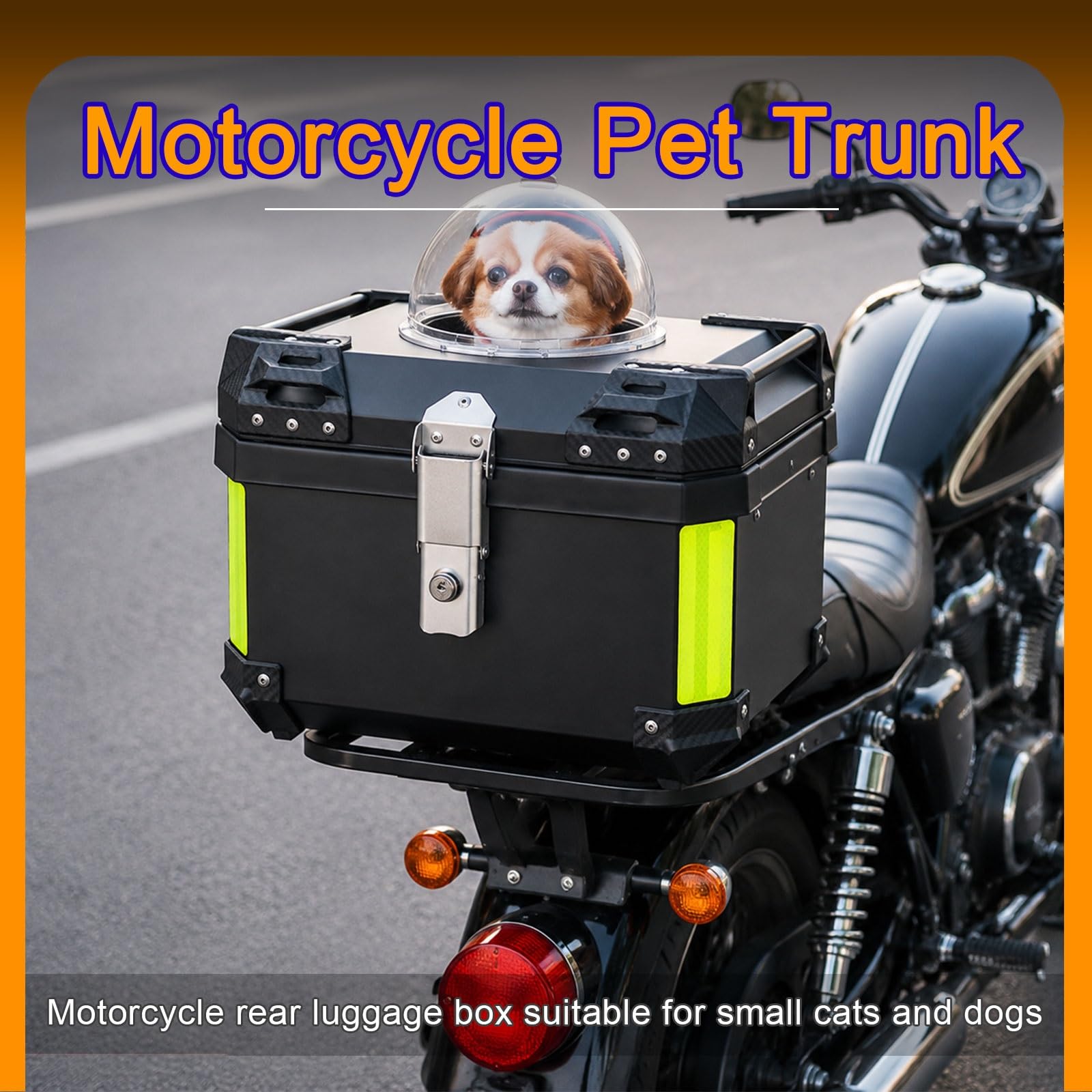 Trasportino Cane Moto Rigido Plastica Rigida Impermeabile Borsa Cani Moto Ben Ventilato Contenitore viaggio per gatti cani piccoli(Style 4,51 * 43 * 39cm)