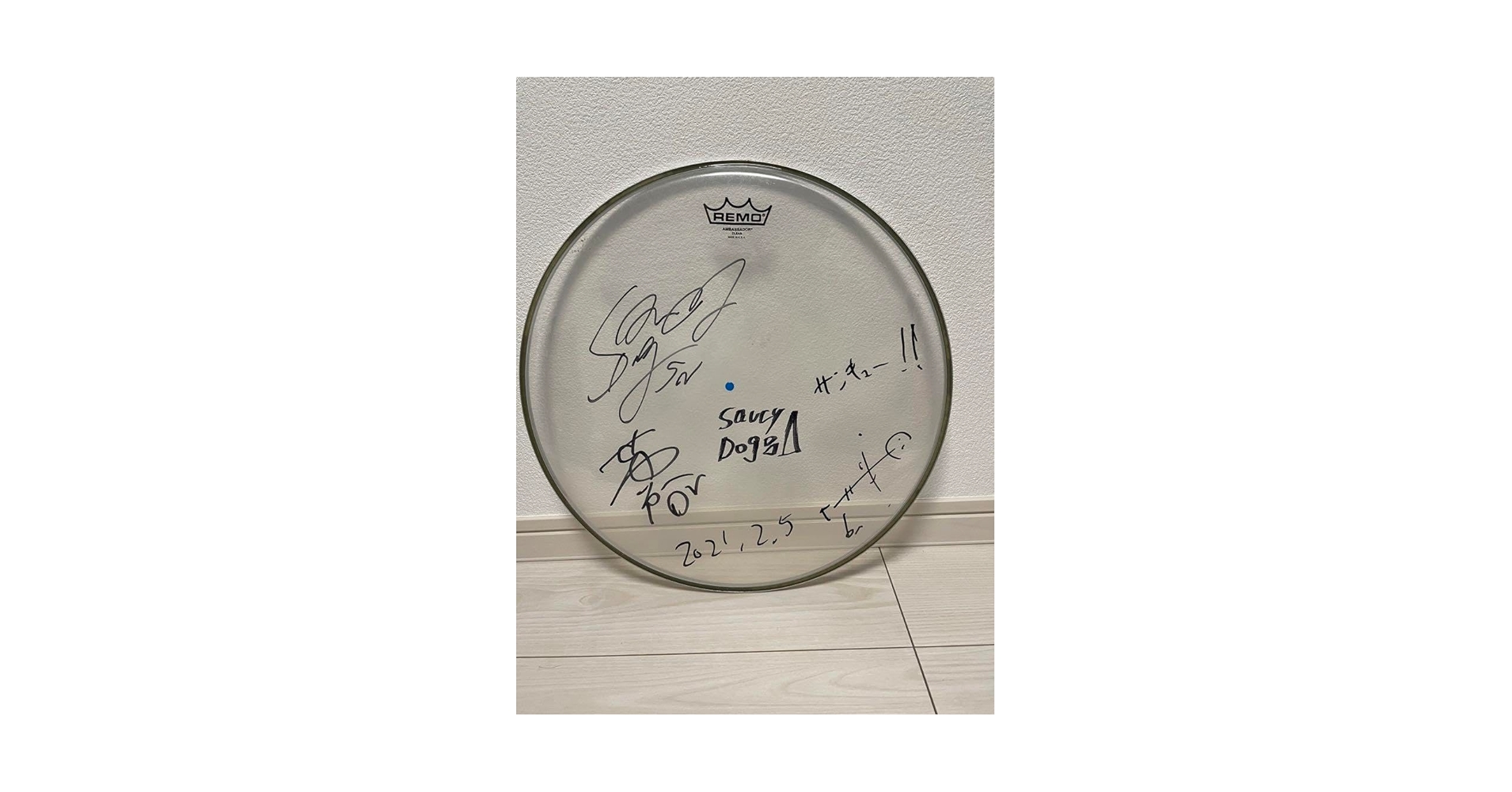 Saucy Dog サイン入りドラムヘッド Amazon.co.jp: Saucy Dog ドラムヘッド サイン入り : おもちゃ