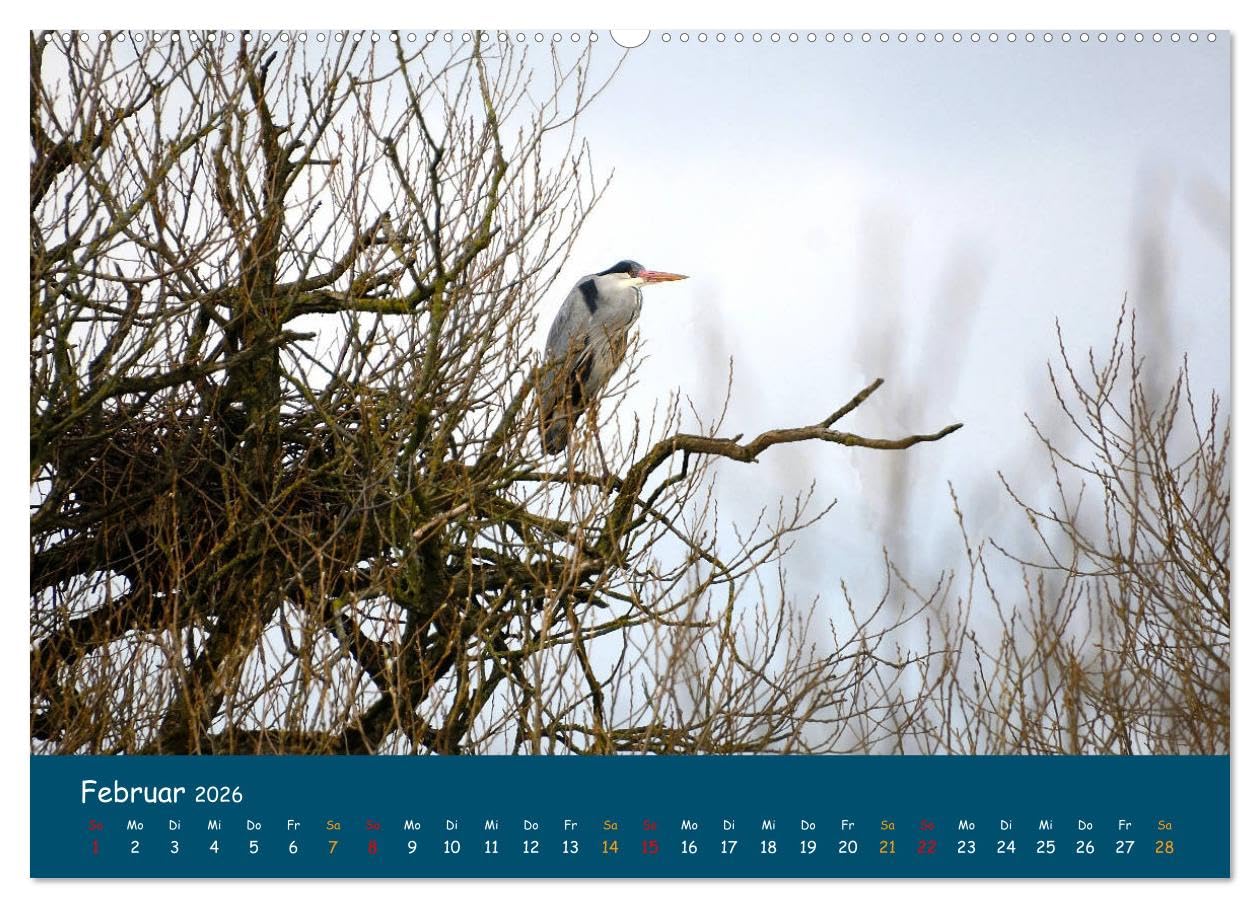 Naturschutzgebiet Wümme (hochwertiger Premium Wandkalender 2026 DIN A2 quer), Kunstdruck in Hochglanz: Ein Fotokalender mit Aufnahmen aus der Wümmeniederung, von Jens Siebert (CALVENDO Natur)