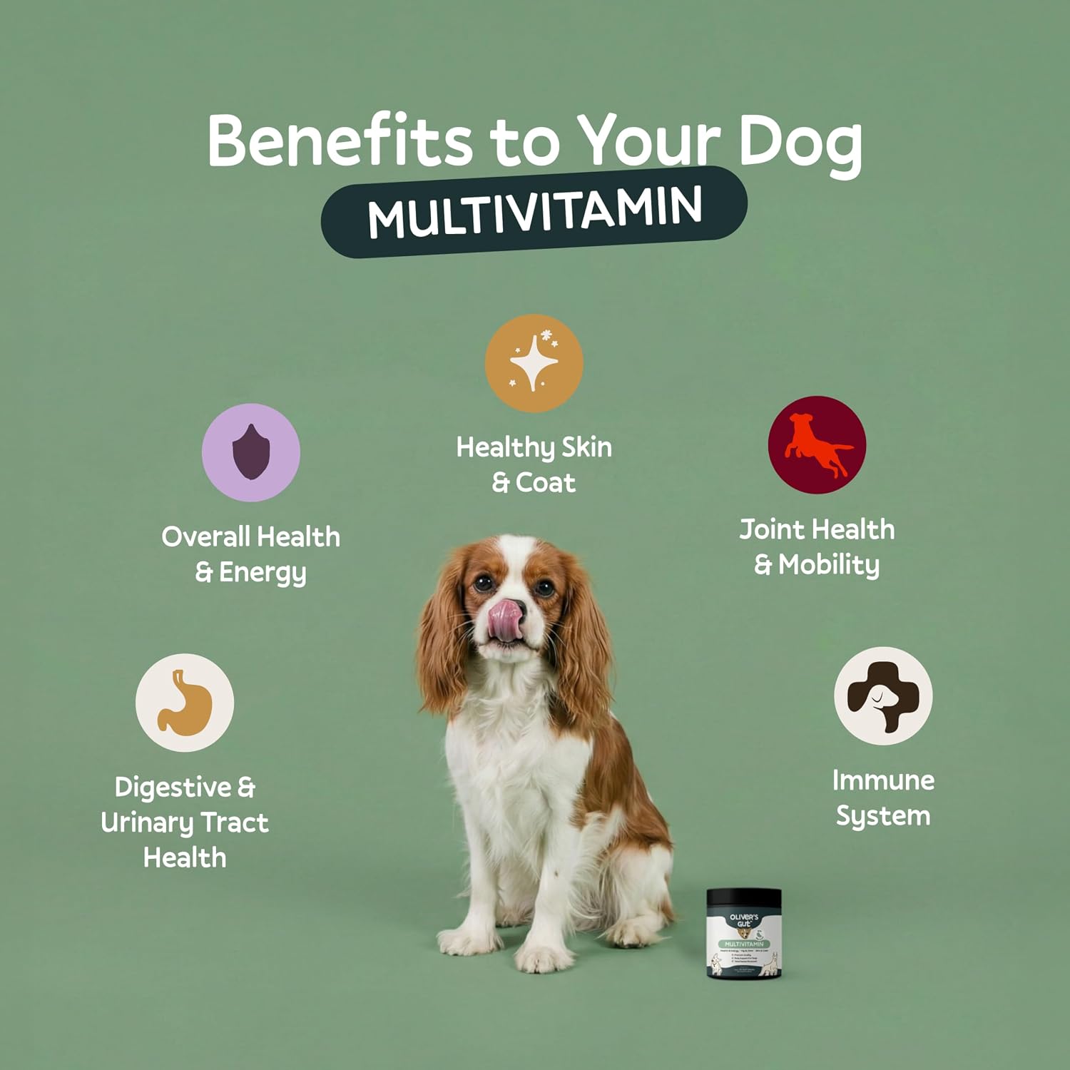 Oliver’s Gut™ Dog Multivitamin Chew. Supplement Support for Hip & Joint, Skin & Coat, Glucosamine, Wild Alaskan Salmon Oil for Dogs - Beef Liver - Energy - Beef, 120ct.