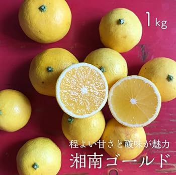 Amazon.co.jp: 湘南ゴールド 神奈川県 1kg : 食品・飲料・お酒