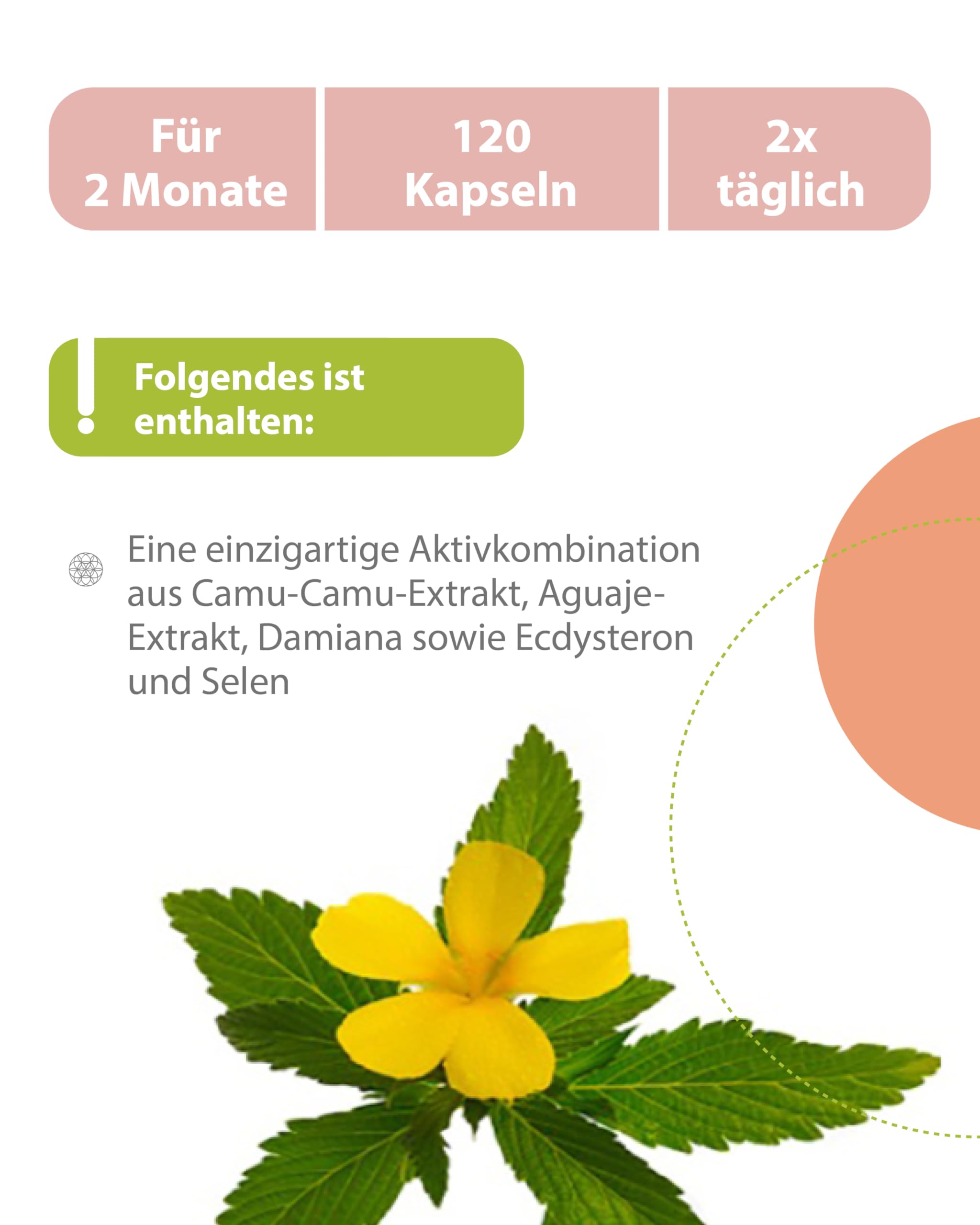 FEMIFIT Kapseln 120 Stk. Vegan - Camu Camu Kapseln angereichert mit, Aguaje, Ecdysteron, Zink & Selen, Wertvolle Mineralstoffe in Vitamine in einer natürlichen Formel