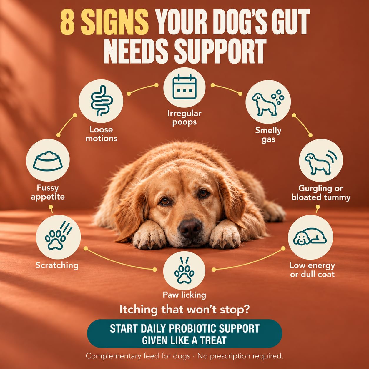 Probiotic Soft Chews for Dogs | 6 Billion CFU, 5 Strains | Turmeric & Pumpkin | Heat-Stable Gut Health & Digestion Support | Chicken Flavour | 30 Soft Chews — Amazon image 4