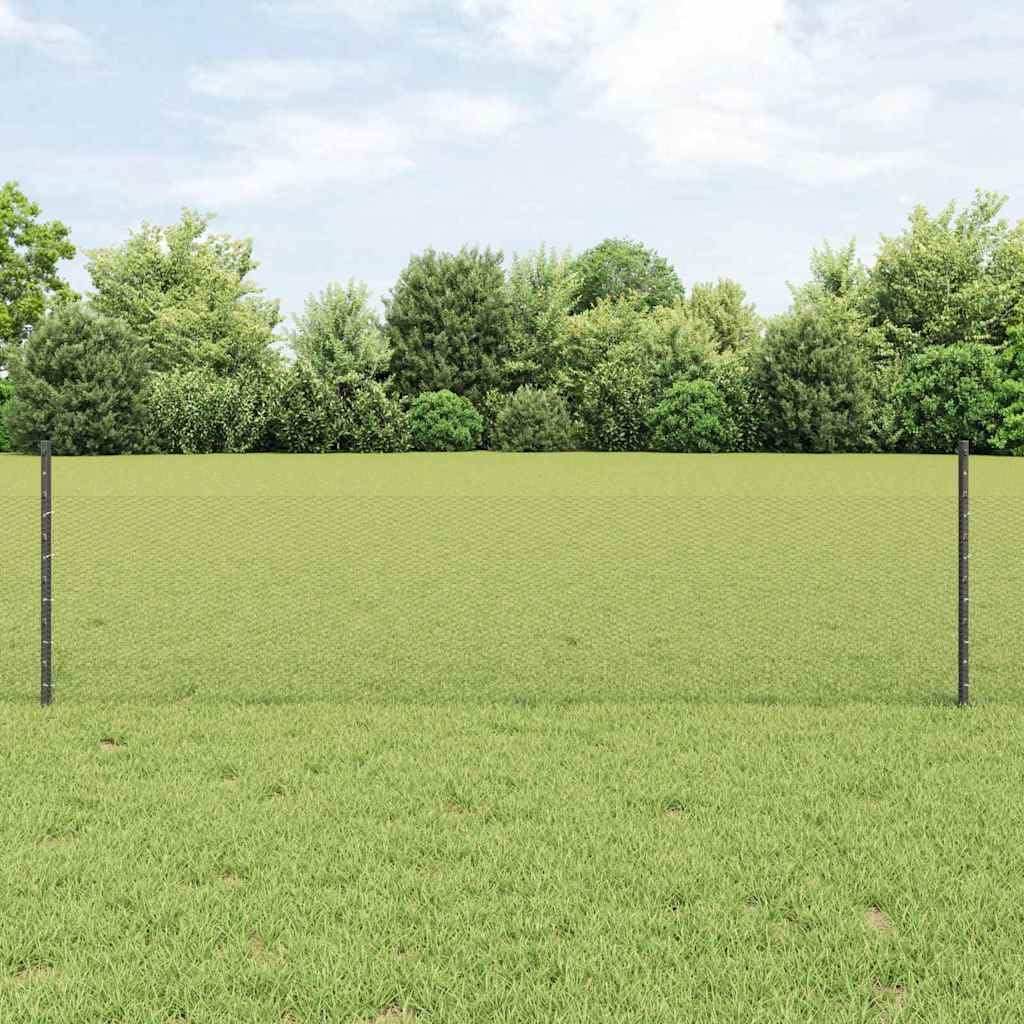 vidaXL Sześciokątne ogrodzenie z słupkiem 100 x 0,5 m Stal pokryta PVC
