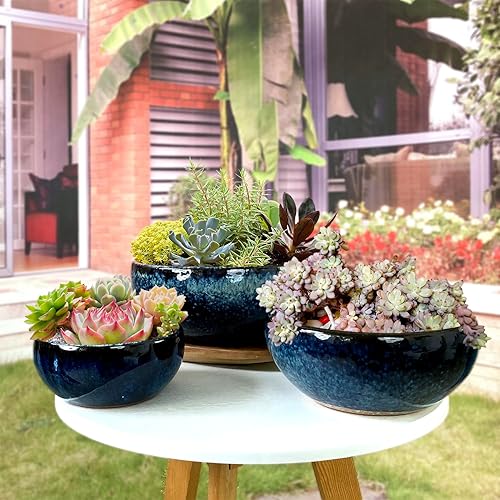 Miniatura 2 de Maceta para suculentas de 11, 9 y 7 pulgadas, con almohadillas de drenaje y malla, maceta redonda grande de cerámica para plantas de interior y