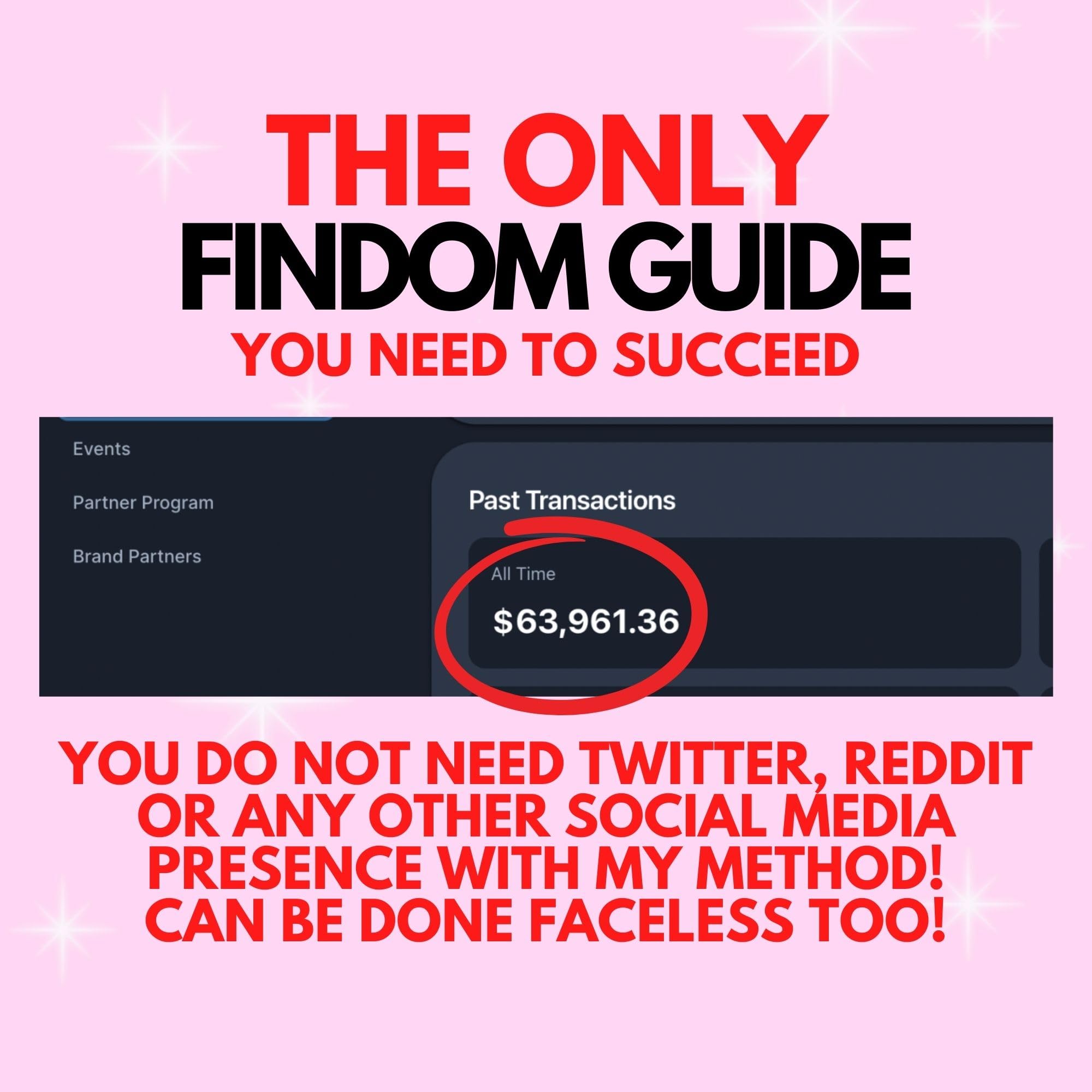 Findom Guide - How To Make Money Your First Day | Findom | Findom Guide | Paypig | Findom How To | Paypig Guide | Domme | Dominatrix Guide (English Edition)