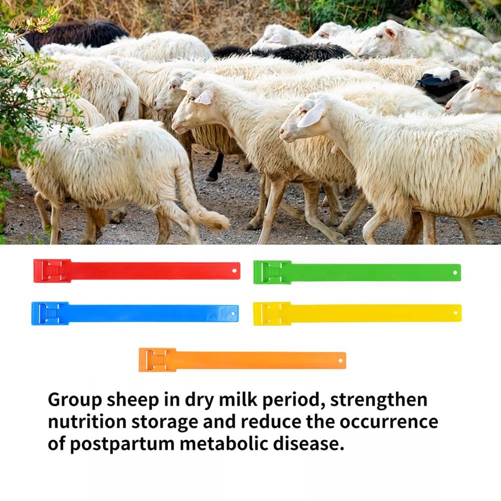Durvet Colostrum Bolus - 01 0320 - Bci