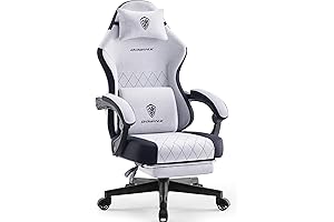 Dowinx Gaming Chair: Premium Back Support and Ergonomic Design
