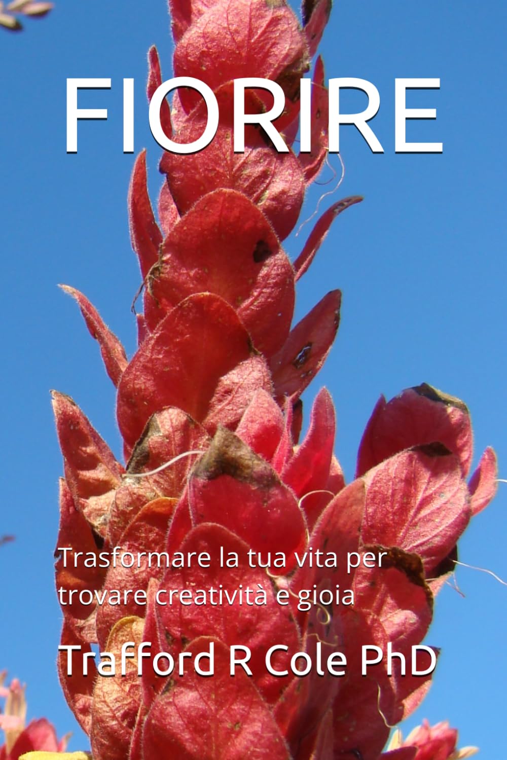 FIORIRE: Trasformare la tua vita per trovare creatività e gioia