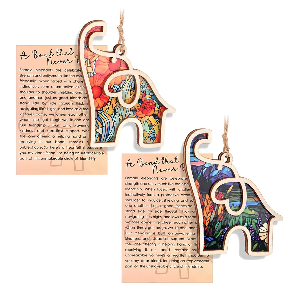 Myrkalatoy Women's Multicolored 2Pcs Elephant Friendship Ornaments, Friendship Gifts Sisterhood Elephant, Wooden Elephant Ornament With Story Card, Thoughtful Friendship Gift, Easter Gift Giving, Home Decoration