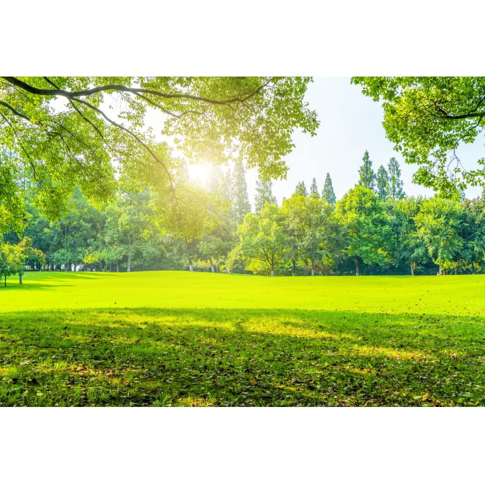 Fondale Paesaggio Sfondo Fotografico Primavera - 4.5x3m Per Foto All'Aperto  Con Prato E Alberi Sfondo Vinile Ritratti, image size:1001x999