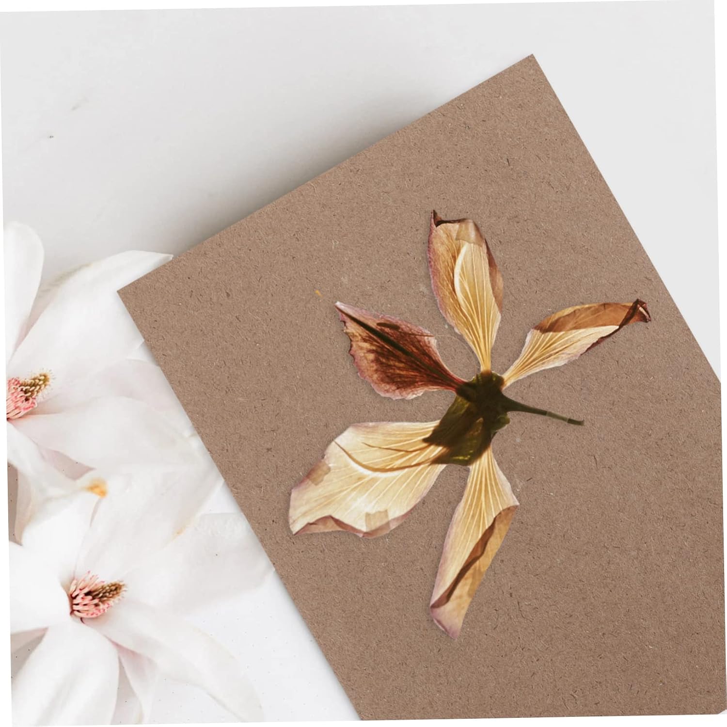 VILLCASE 6sheets Plant Press Embossed Absorbent Board Flower Pressing Plates for Greeting Card Scrapbooking Flower Press Tool