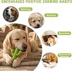 MewaJump Dog Chew Toys, Durable Rubber Dog Toys for Aggressive Chewers, Cactus Tough Toys for Training and Cleaning Teeth, Interactive Dog Toys for Medium/Large Dog