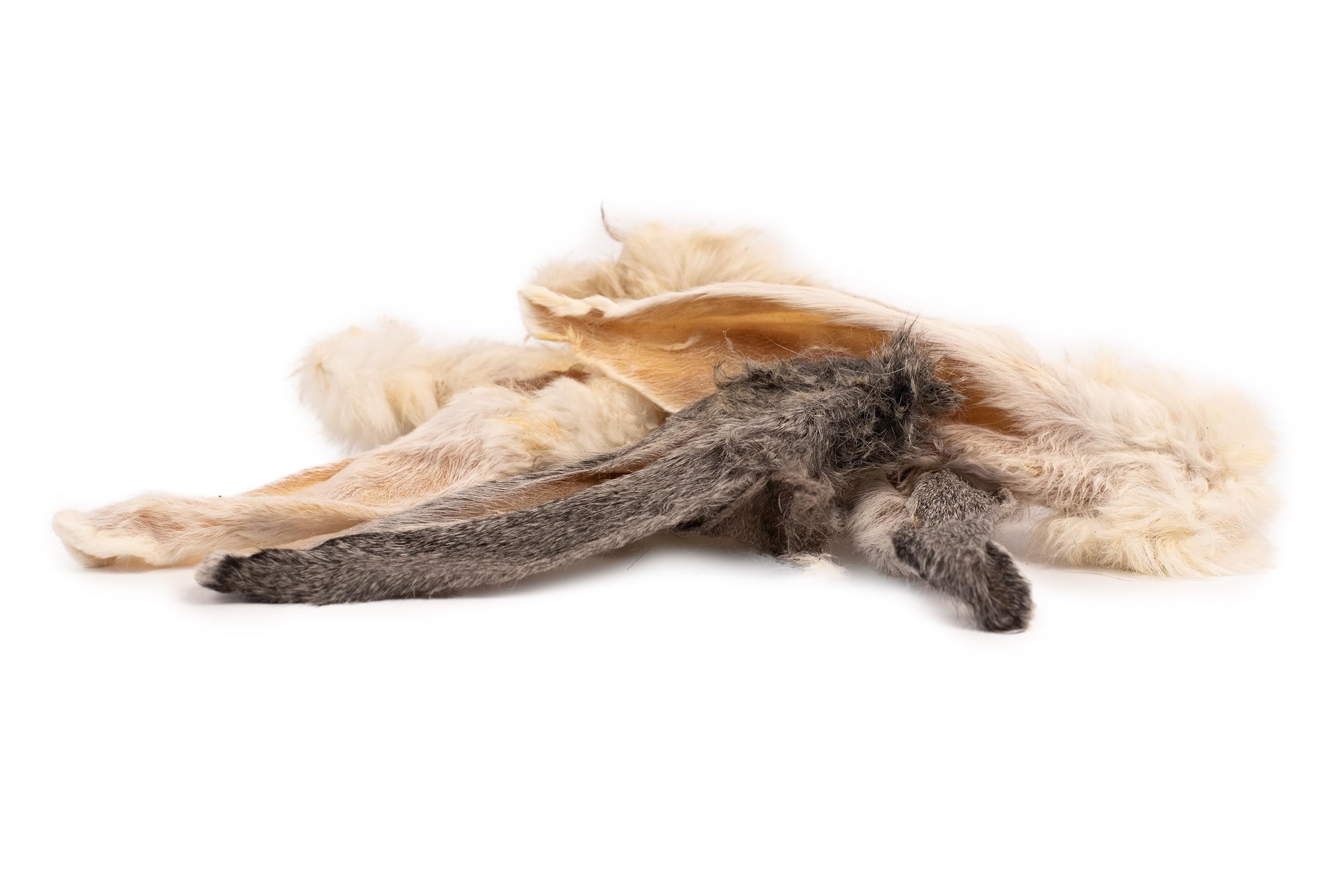 DIBO Oreilles de Lapin avec Fourrure, Sachet de 250 g – Friandise à mâcher Naturelle 100% séchée en Douceur pour Chien, Nettoyage Naturel du côlon, friandises Naturelles et adaptées à l'espèce