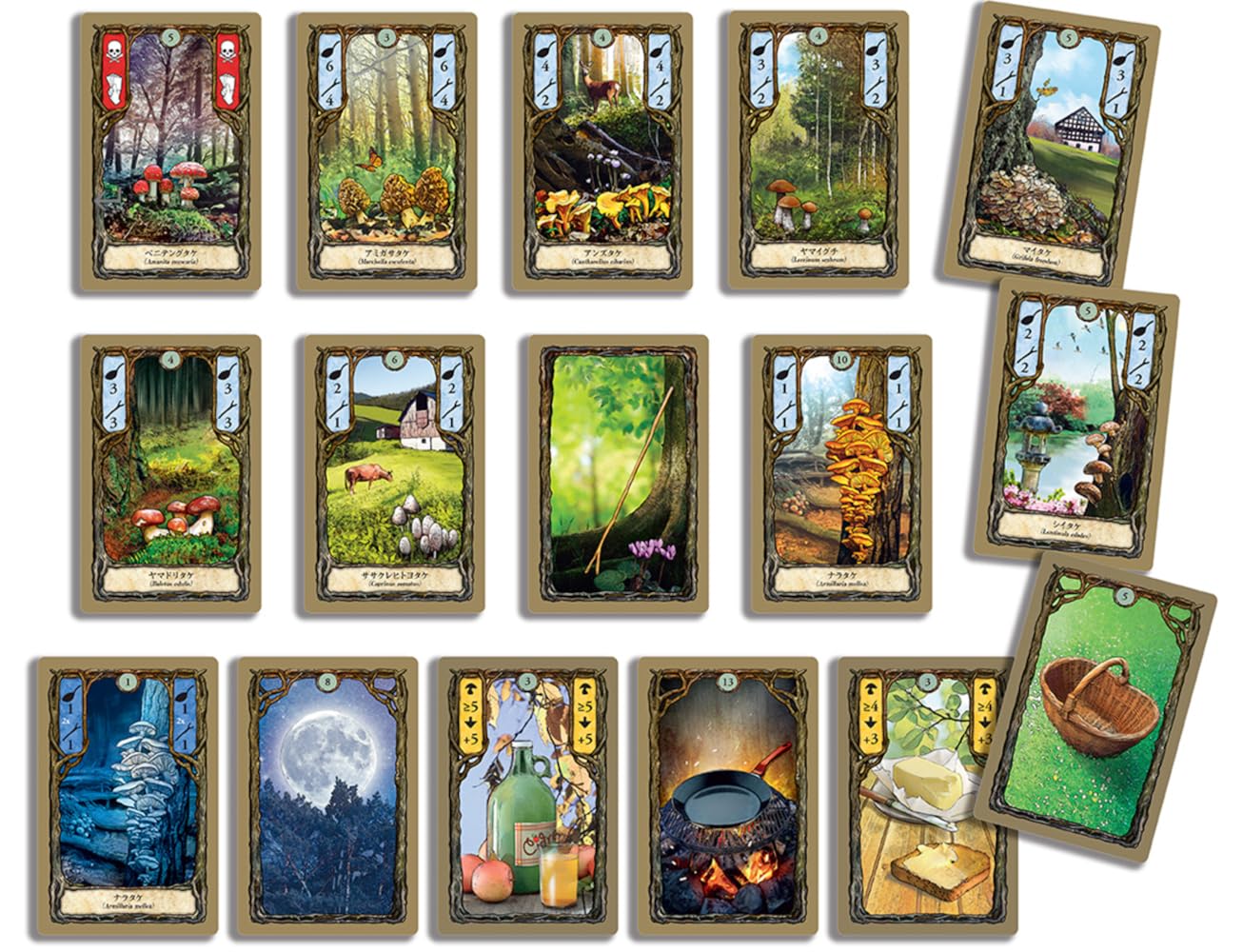 Amazon | カードゲーム フンギ 日本語版 | ボードゲーム | おもちゃ