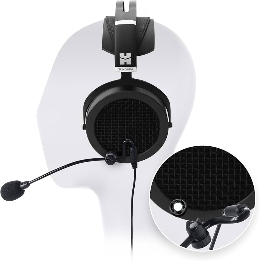 Hifiman Sundara ModMic Wireless Best Headset Ever?
