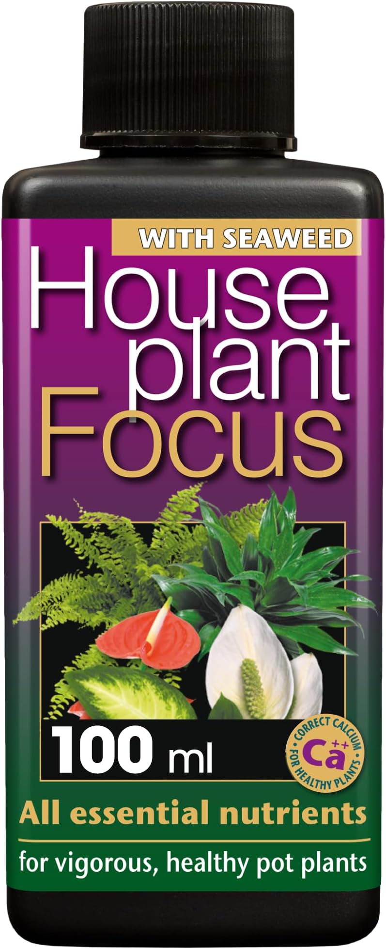 Houseplant Focus Liquid Concentrated Fertiliser, 100ml - Growth Technology Fertiliser for Indoor Plants - Professional Grade House Plant Food