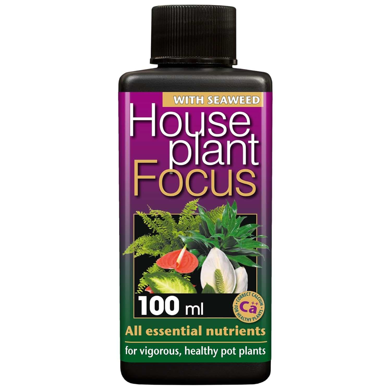 Potted Plant Focus Liquid Concentrated Fertilizer 100ml