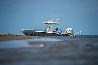 Vista 3 de Frabill Cubos de cebo Flow Troll