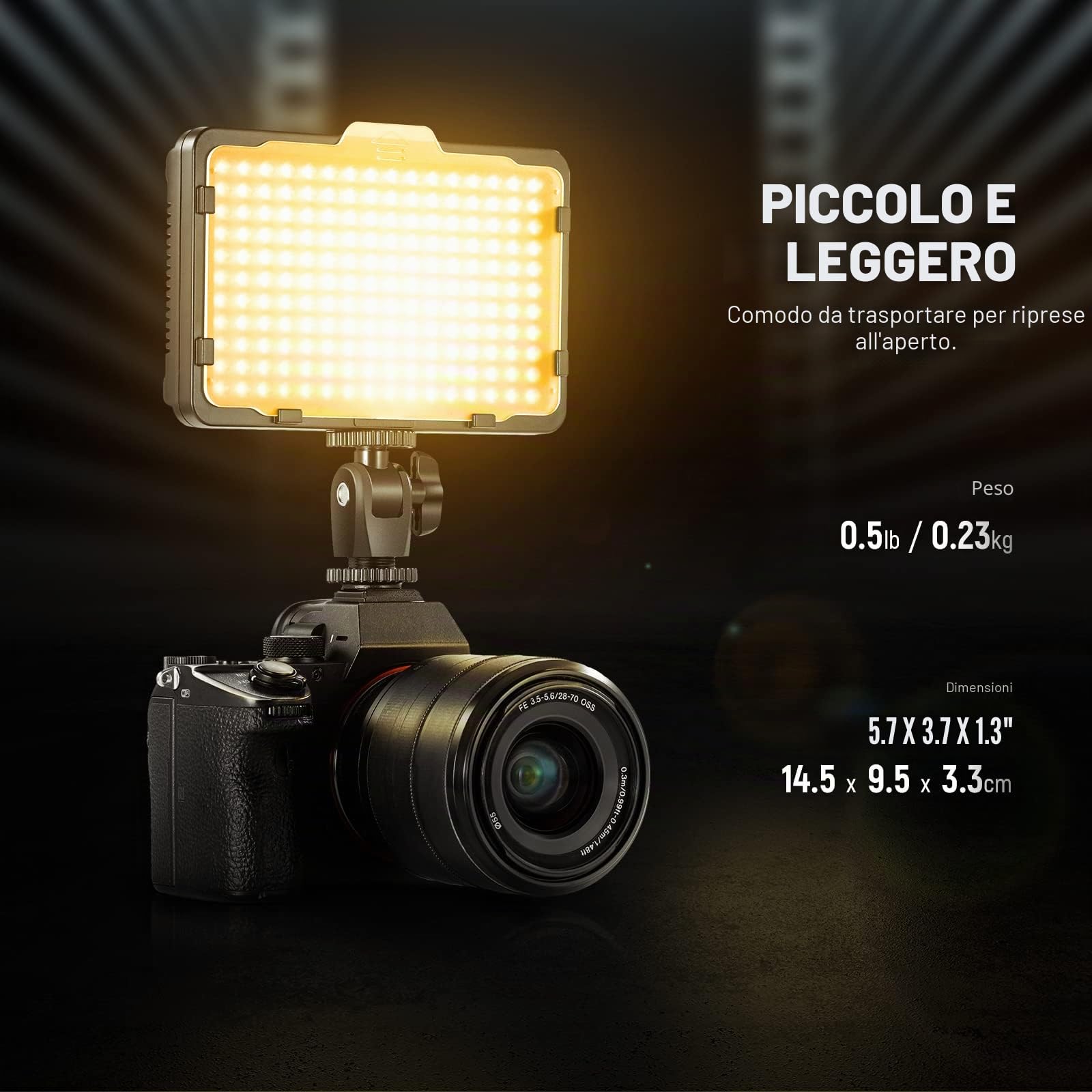 Neewer Kit d’Illuminazione Luce 176 LED: Pannello 176 LED Dimmerabile con Batteria a Litio 2200mAh, Caricabatterie a USB & Custodia, per Foto di Prodotti Ritratti