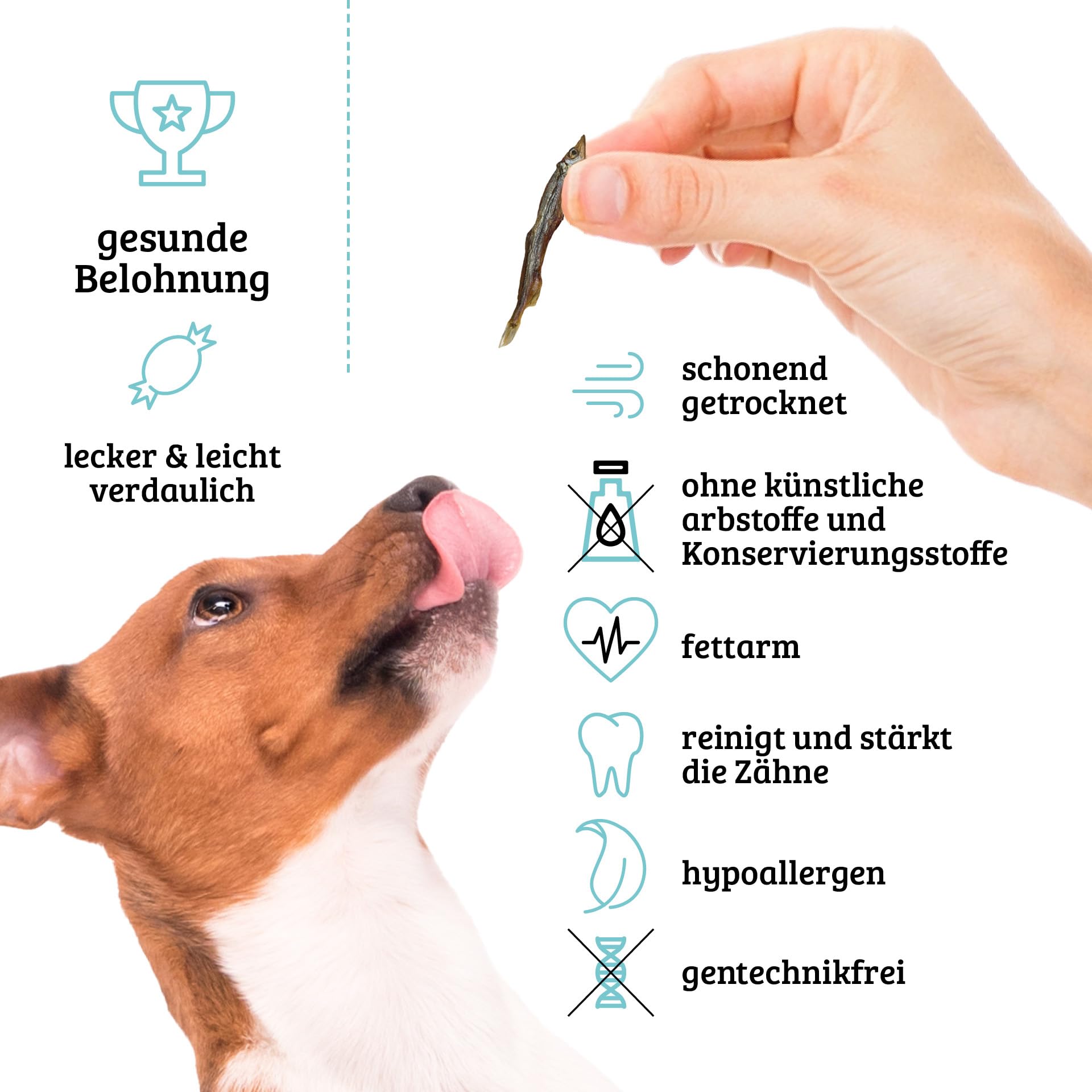 UGF - Poisson séché pour Chiens - 460 g en Seau de 3 litres, friandises pour Chiens, sans céréales, Poisson séché, hypoallergénique, diététique, friandises d'entraînement, à mâcher