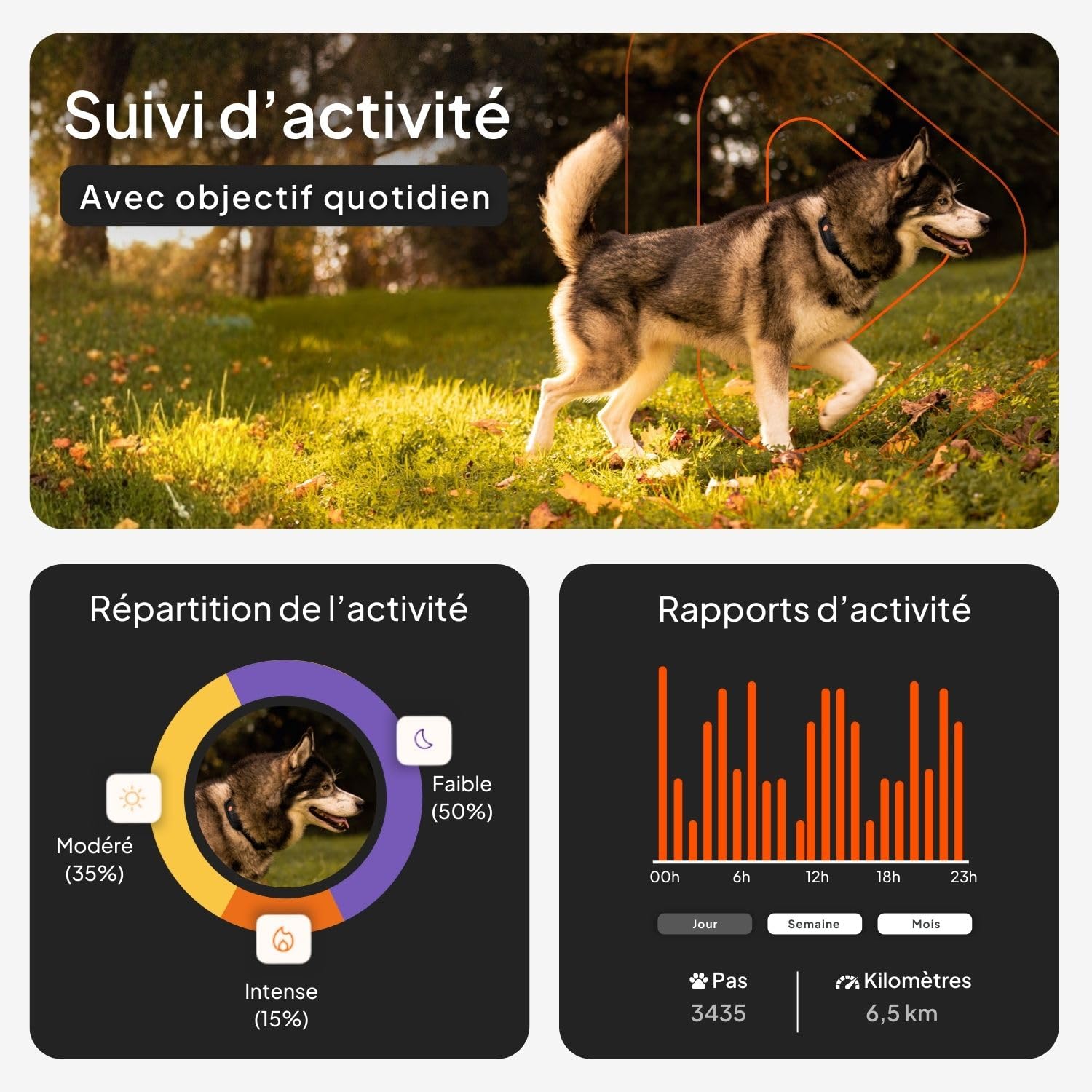 Weenect Chien XT - Nouveau Collier GPS pour Chien | Antenne XL | Etanche | Collier Hyper résistant intégré Julius-K9 | Garantie à Vie | Abonnement Requis