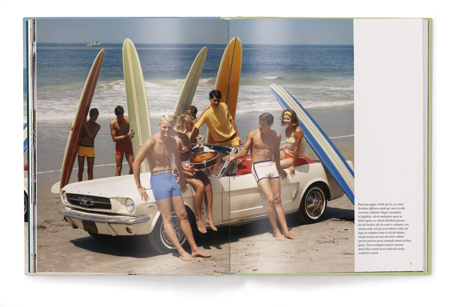 The Stylish Life: Surfing /anglais