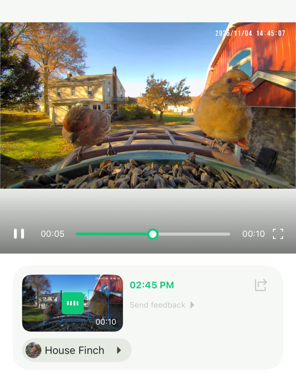 Smart Bird Feeder with 4K AI Camera Solar Powered, 8MP Photos photo review