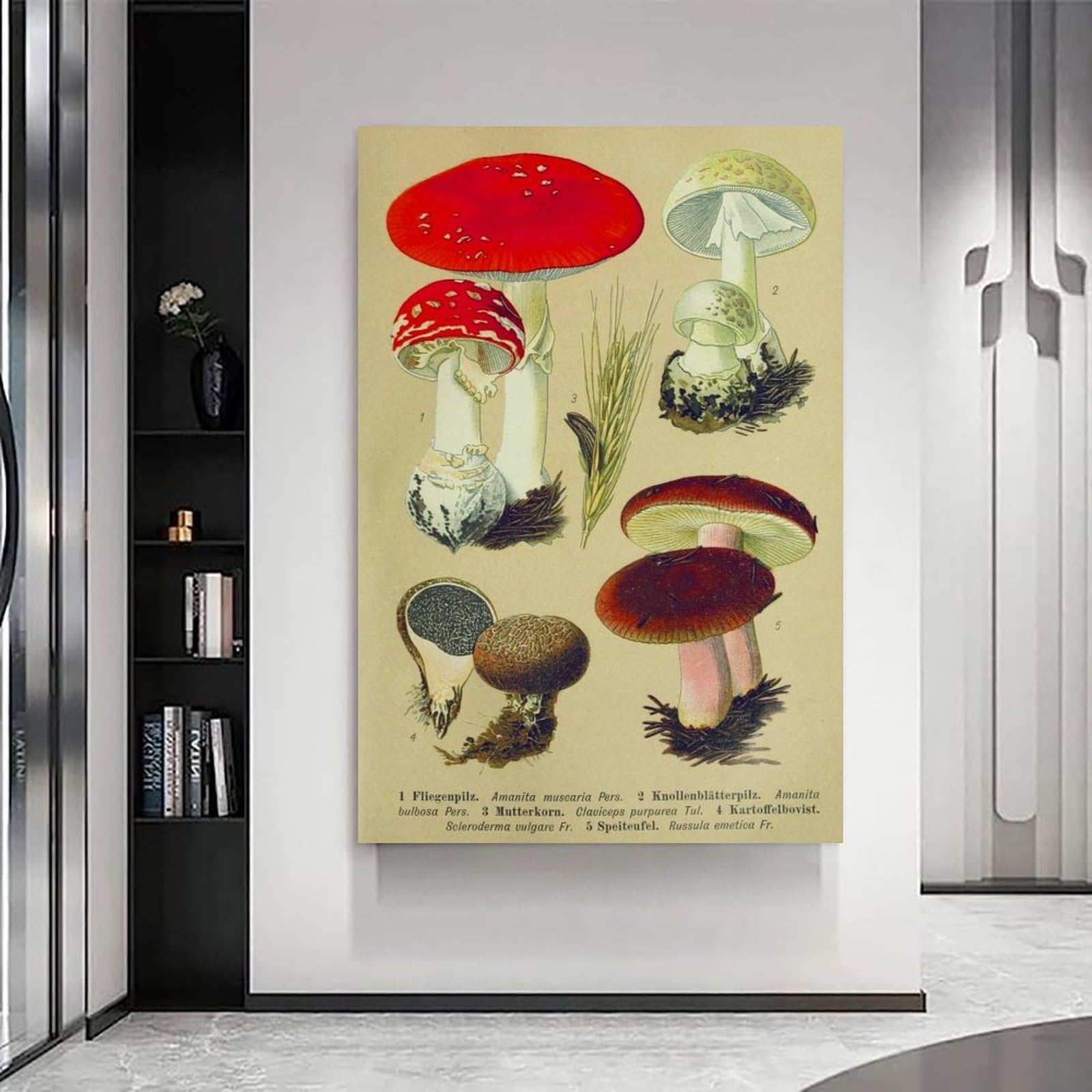 generisch Mushrooms of Central European Modern Canvas Prints, Cuadros Decorativos Para Habitaciones de Niños o Niñas, Murales para Sala de Estar Y Pinturas con Motivos Festivos24x36 Pulgadas