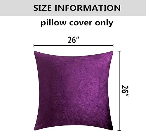 Vista 126 de Home Brilliant Fundas de almohada color verde azulado súper suaves cuadradas de terciopelo azul para sofá, dormitorio de niñas pequeñas, 18 x 18