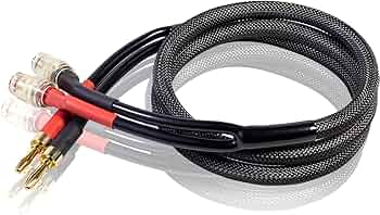 71I8sFgOVsL._AC_UF350,