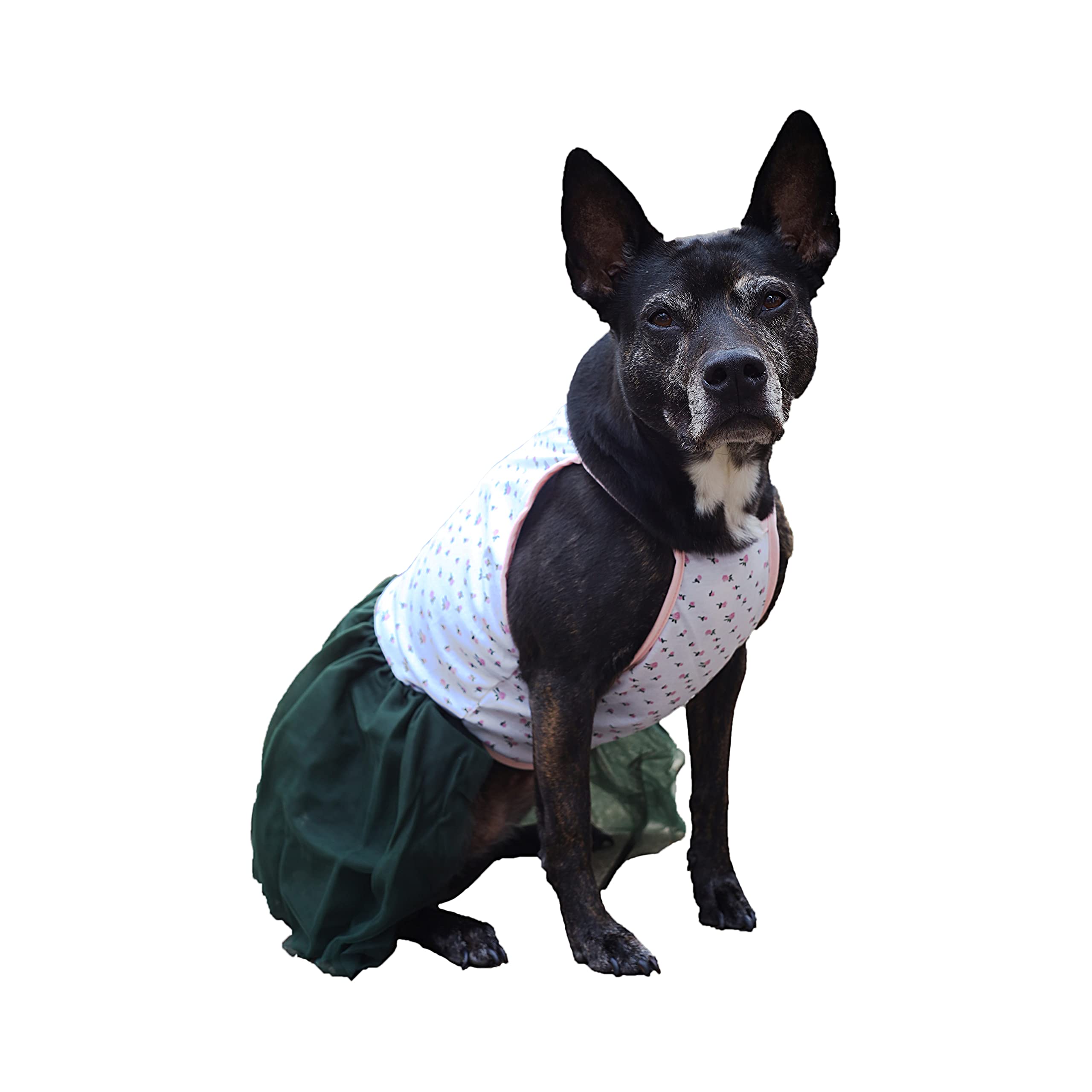 Midlee Pink Rose Tutu Large Dog Dress 