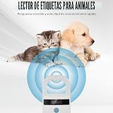 Ver la foto 5