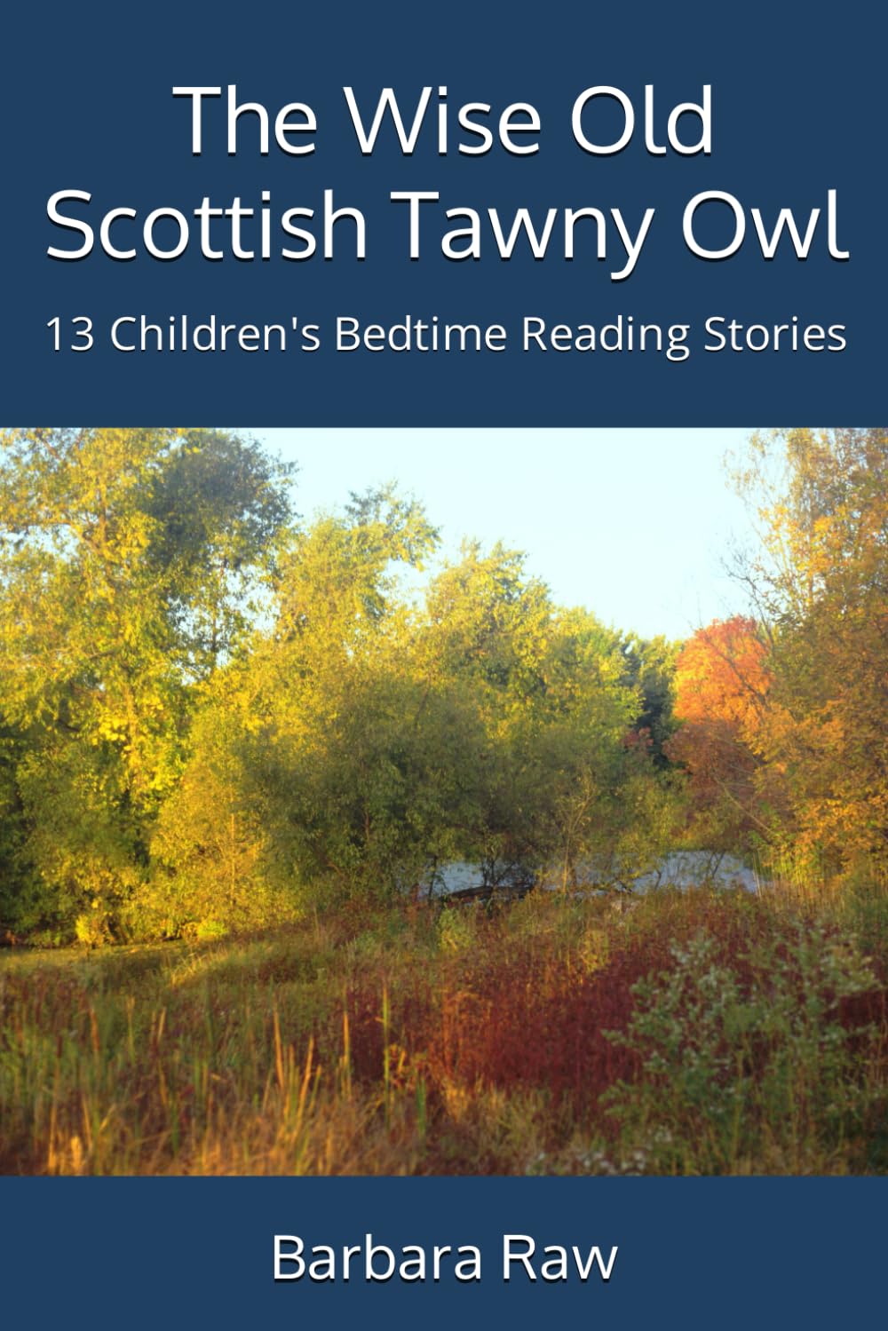 The Wise Old Scottish Tawny Owl: 13 Children's Bedtime Reading Stories